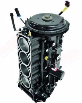 Remanufactured 4 Stroke Powerheads